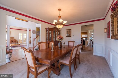 14503 Dew Dr, Bowie, MD 20721 - photo 5