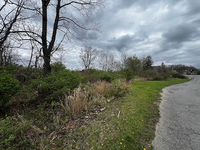 0 Robert C Byrd Dr, Beckley, WV 25801 - photo 6