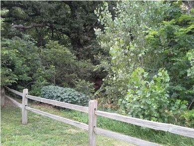 View of the Creek