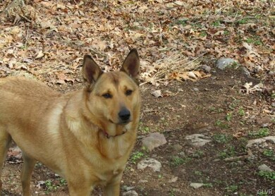 0 W 13th St unit 428276, Jim Thorpe, PA 18229 - photo 6