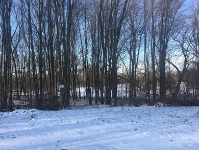 2 Bianca Way, Ionia, MI 48846 - photo 4