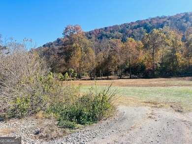 0 Route 11, Attalla, AL 35954 - photo 5