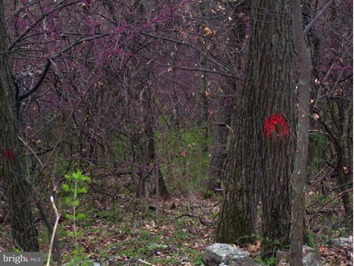 0 Hill Rd unit 1003439364, Warfordsburg, PA 17267 - photo 6