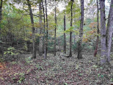 1071 Pleasant Run Rd, Mammoth Spring, AR 72554 - photo 6