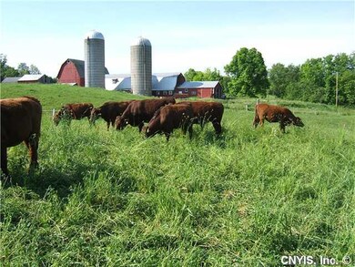Exterior Back Rotational grazing