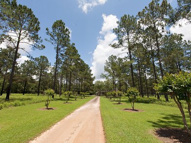 Driveway to Home