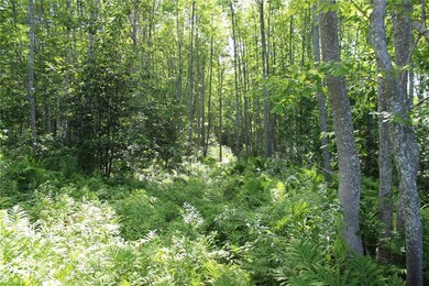 0 Castine Rd unit M9L75 1279967, Penobscot, ME 04476 - photo 7
