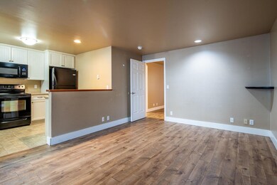 5-web-or-mls-DSC08813