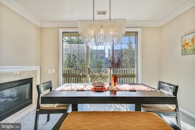 1735 Kingsgate Ct unit 303, Alexandria, VA 22302 - photo 5