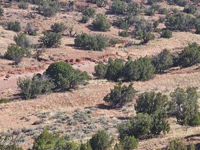 0 N6448, St. Johns, AZ 85936 - photo 3