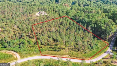 13 Poetic Ct, Ellijay, GA 30540 - photo 5