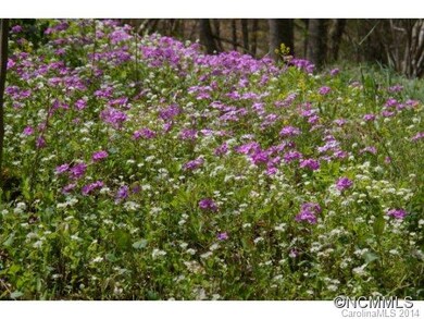 00 Roaring Fork Rd, Burnsville, NC 28714 - photo 2