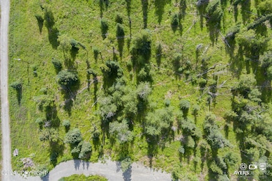 17215 Lunchbox Dr, Ninilchik, AK 99639 - photo 5