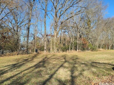 Lot 23 Riverwood St, Heber Springs, AR 72543 - photo 7