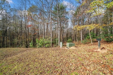 Lot 15 Highpoint Ridge Ct, Ellijay, GA 30536 - photo 7