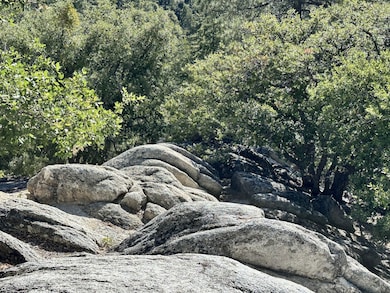 0 Mountain View unit 2011252, Idyllwild, CA - photo 6