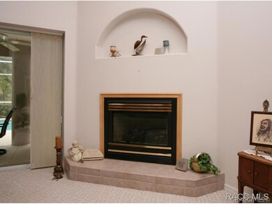 Gas Fireplace