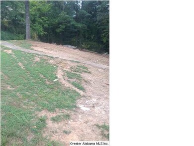 Front yard with Existing Sidewalk