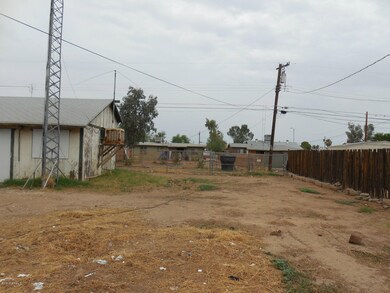 Backyard 2