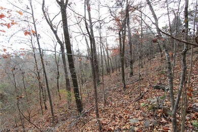 TBD Lazy Brook Rd, Rudy, AR 72952 - photo 7