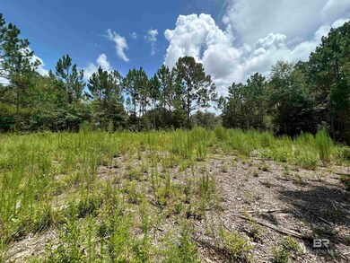 10790 Cattle Branch Ct unit 10, Mobile, AL 36608 - photo 7