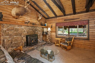 Cozy Wood Stove with Multiple Fuel Sources - Wood 