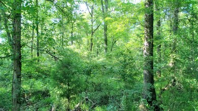 5509 Old Dawson Rd, Albany, GA 31721 - photo 6