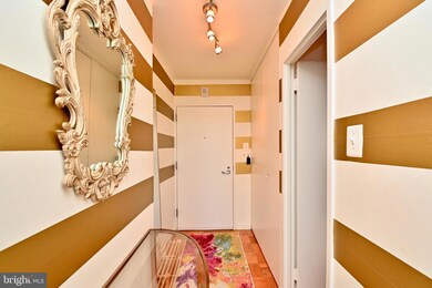 Tiber Island unit W110, Washington, DC 20024 - photo 6