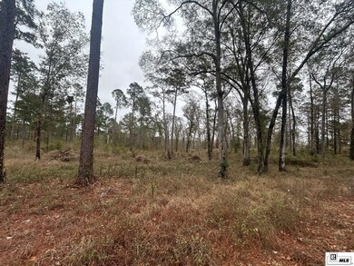 0 Caples Rd unit 217349, B, LA 71292 - photo 2