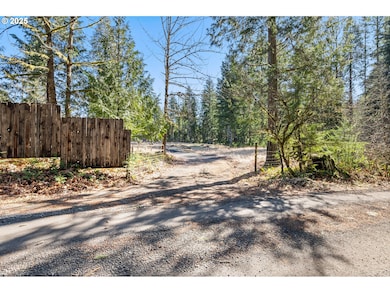 0 Alma Dr unit 155780752, McKenzie Bridge, OR 97413 - photo 4