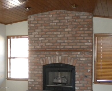 Living room fireplace