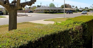 IMG_3872