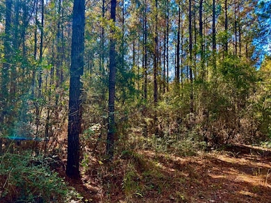 0 Old Salt Rd unit LotWP001, Sumrall, MS 39482 - photo 5