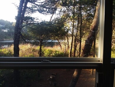 Wetlands