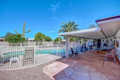 Pool and Patio
