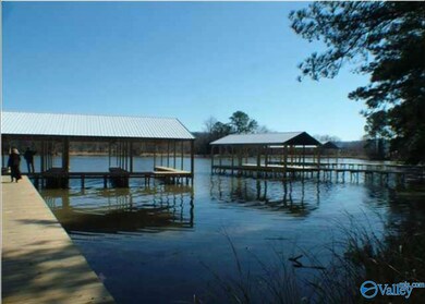 575 John Cabaniss Rd, Langston, AL 35755 - photo 7