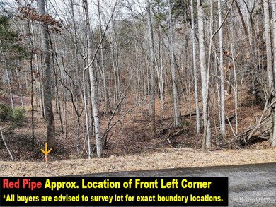 Lot 97 Melrose Ct unit 97, Lake Lure, NC 28746 - photo 3