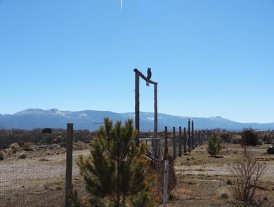 Tanner 027_528x400