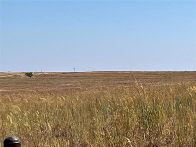 View of local wilderness with a rural view