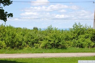 21 Sesame St, Old Chatham, NY 12136 - photo 6