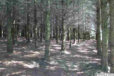 1780 84th Place SE, Salem, OR 97317 - photo 7