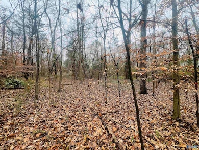 1 ACRE Whitman Cir, Huntsville, AL 35811 - photo 4