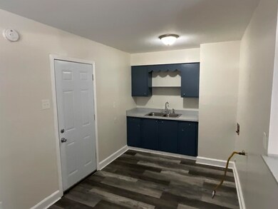 Kitchen with dark wood-type flooring and sink