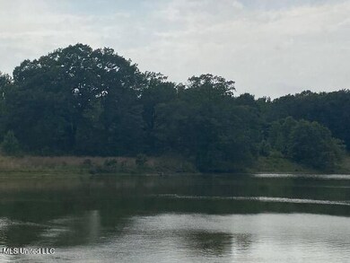 Lewis Lake 2