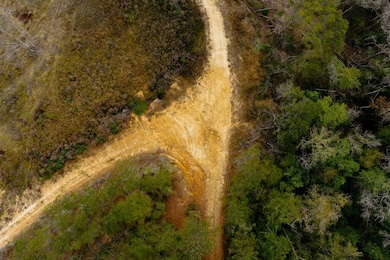 -- US Highway 98, Beaumont, MS 39423 - photo 6