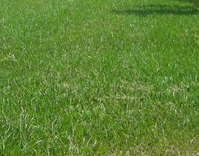 Land/Lot. Lot filled--ready for construction!