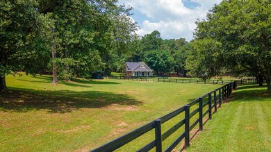 4 Paddocks +