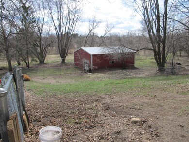 Shed in the back yard is included