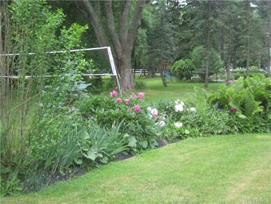 Yard. Lots of room to play.