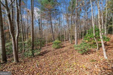 Lot 15 Highpoint Ridge Ct unit 15, Ellijay, GA 30536 - photo 6